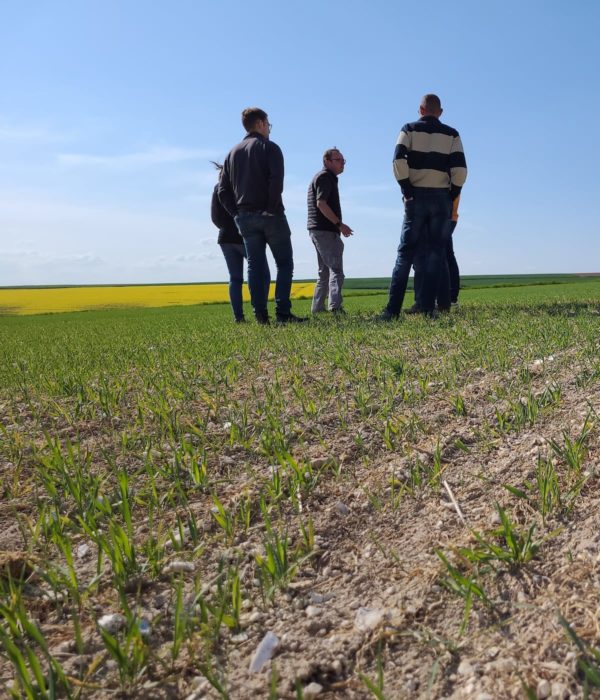 Plusieurs personnes se tiennent debout dans un champ.