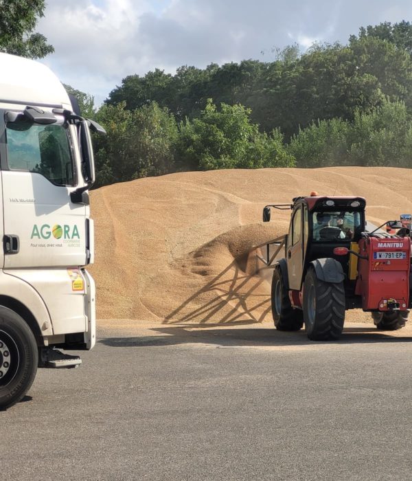 Un camion et un tracteur sur une route.