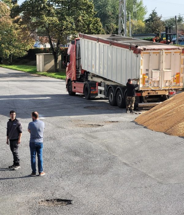 Un camion à l’arrêt sur le côté de la route avec deux hommes.