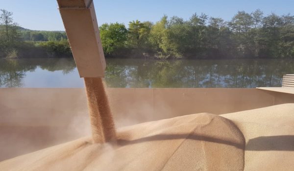 Un silo est en train d’être rempli.