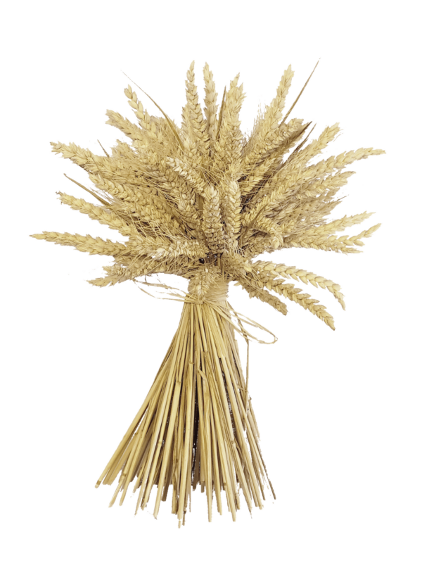 Bouquet de blé